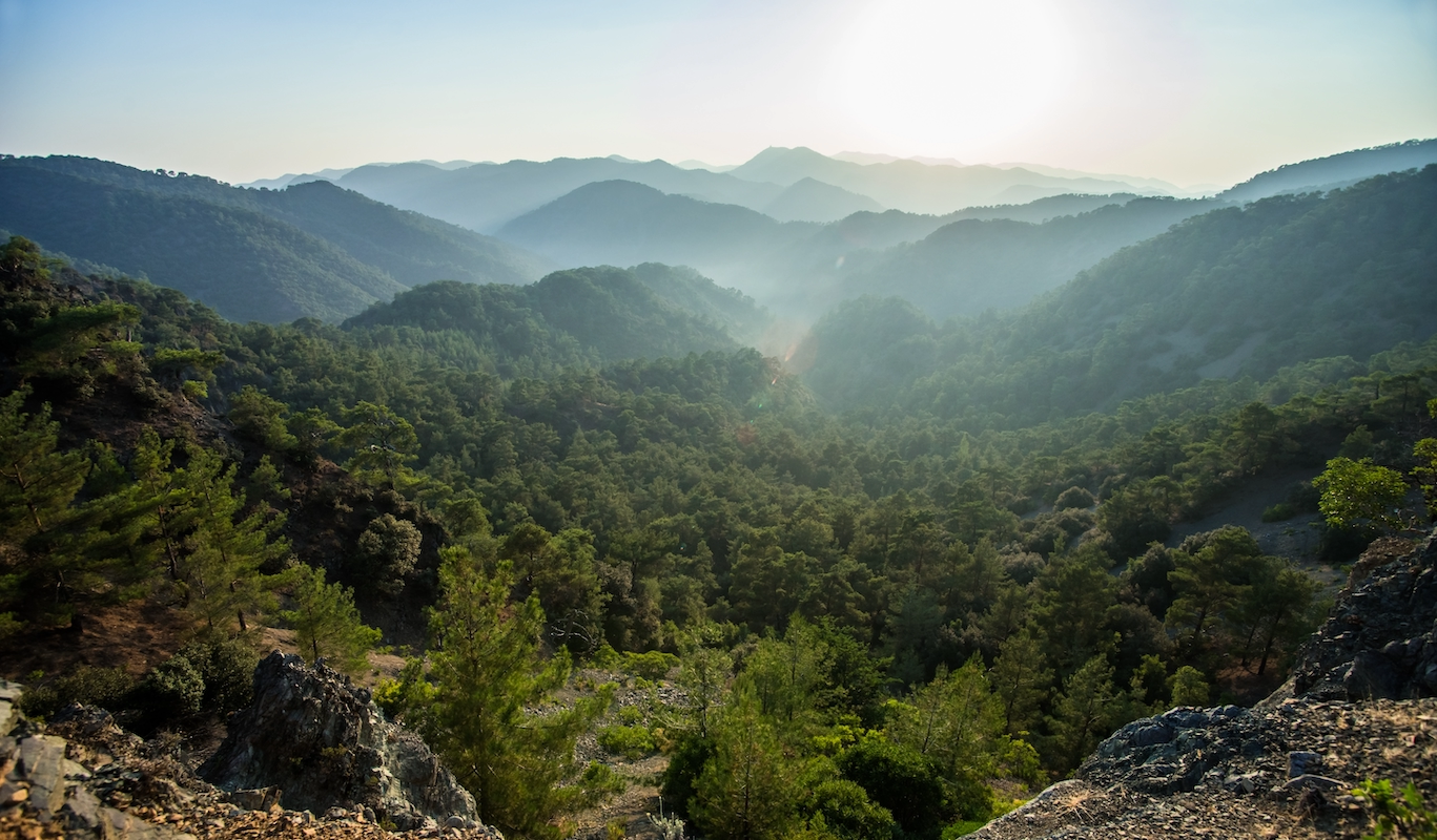 Troodos Mountains Panorama
